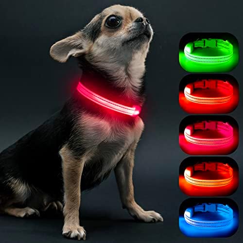 Visinite Light Up Küçük Köpekler için Köpek Tasmaları, LED Köpek Tasması ışığı Şarj edilebilir,Tamamen Ayarlanabilir