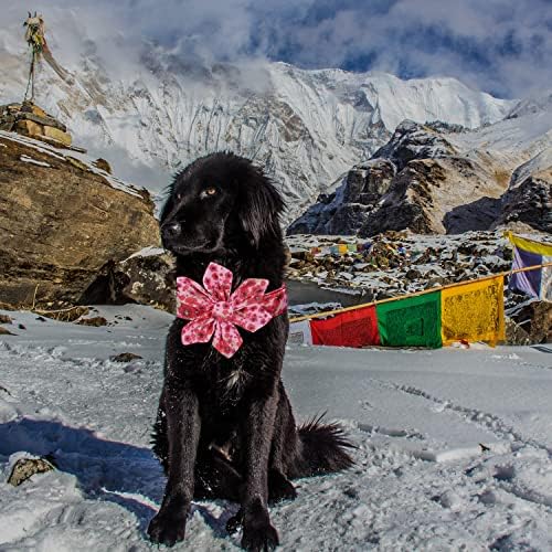 Yay ve Çiçek Kravatlı LOİİHEİİ Köpek Tasması, Ayarlanabilir Rahat Köpek Tasmaları Anneler için Kız Erkek Hediyeler,