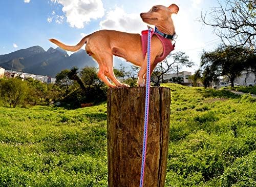 Mycicy köpek tasması Bohemia Çiçek Tribal Geometrik Desenler Yumuşak Etnik Tarzı Yaka Ayarlanabilir Küçük Orta Büyük