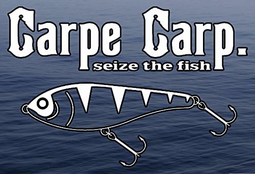Vinil çıkartmalar Carpe Sazan Balık Yakalamak (Diem) Balıkçılık Büyük 3 Paket Çeşitli Boyutlarda araba süslü çıkartmalar