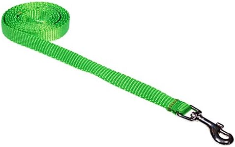 XSmall Neon Yeşil Naylon Dokuma Köpek Tasması: 1/2 Genişliğinde, 4ft Uzunluğunda - ABD'de üretilmiştir.