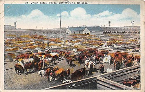 Chicago, Illinois Kartpostalı